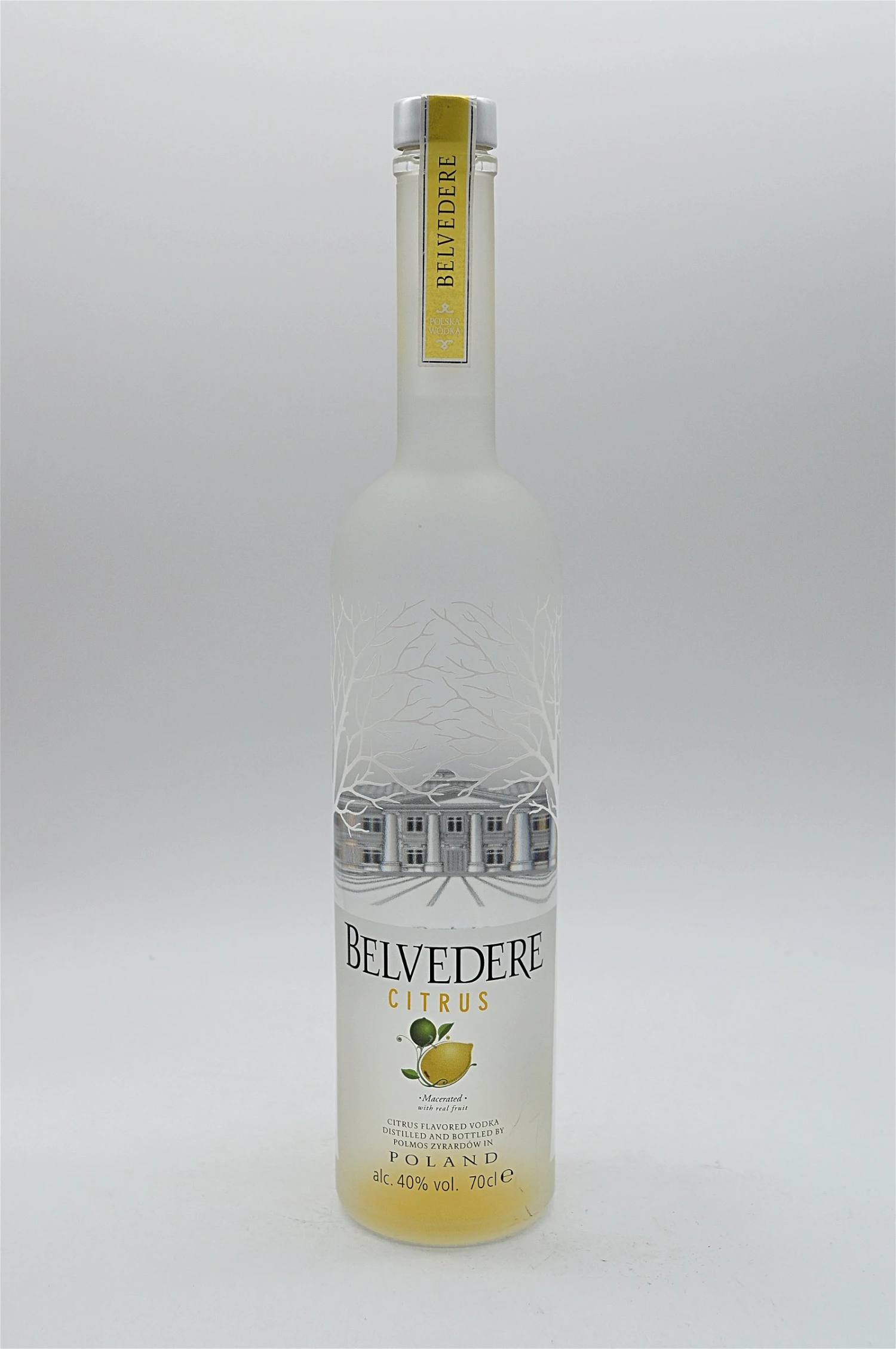 Vodka Citrus 1 Vodka Citrus