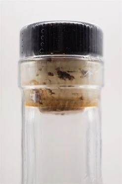 Brimstone -Edler Wein Genuss dsc09350