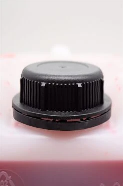 Strawberry Margarita -Edler Wein Genuss dsc09491piusseu3dtjrx